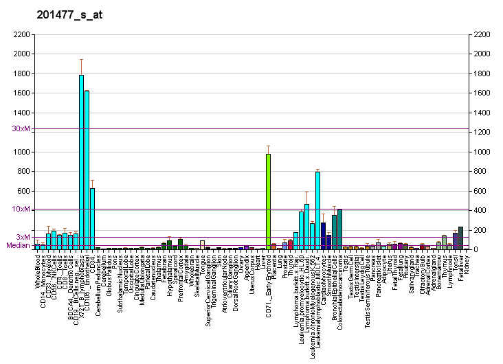 File:PBB GE RRM1 201477 s at fs.png