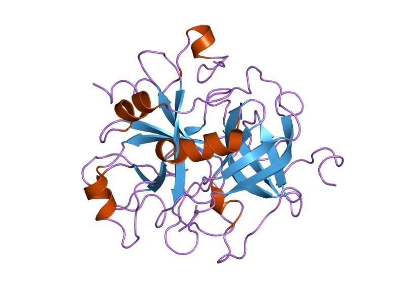 File:PDB 1dwe EBI.jpg