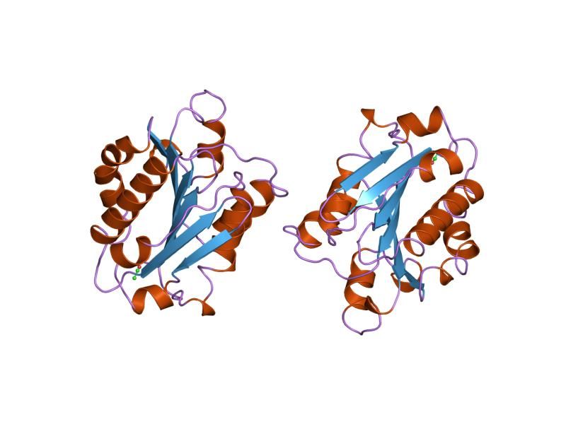 File:PDB 1idn EBI.jpg