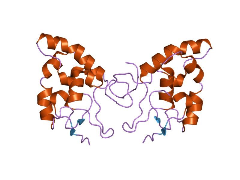 File:PDB 1ijy EBI.jpg