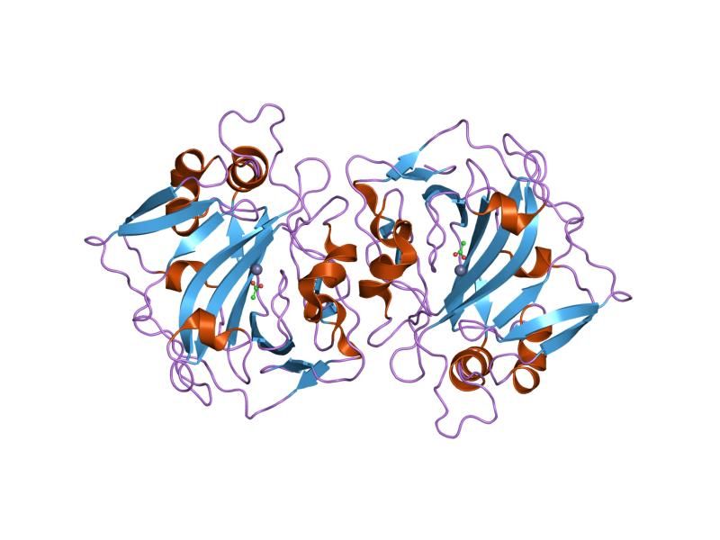 File:PDB 1jcz EBI.jpg