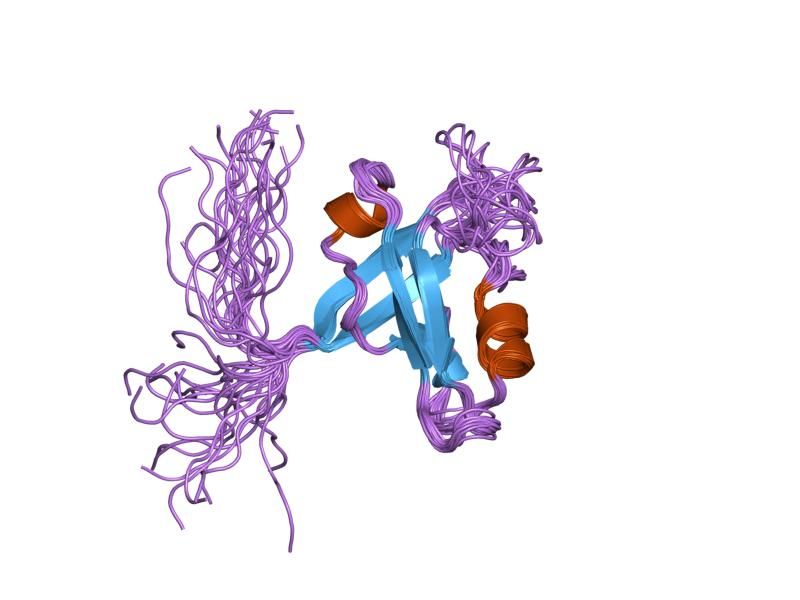 File:PDB 1uez EBI.jpg