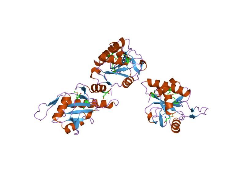 File:PDB 1wp0 EBI.jpg