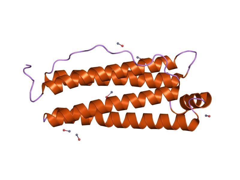 File:PDB 2cei EBI.jpg