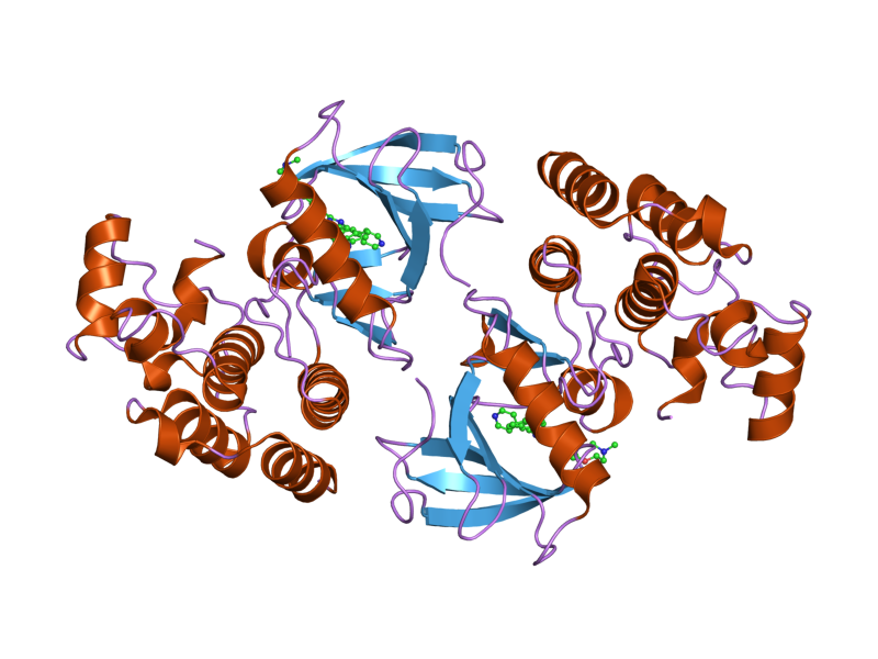 File:PDB 2fb8 EBI.png