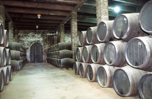 File:Sherry cellar, Solera system 2, 2003.jpg