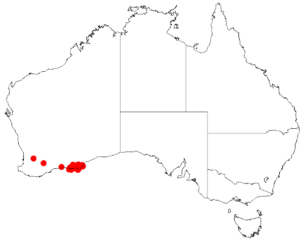 File:Acacia connianaDistMap211.png