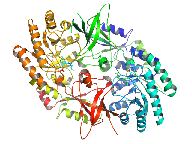 File:Ornithine Decarboxylase Publication View.png