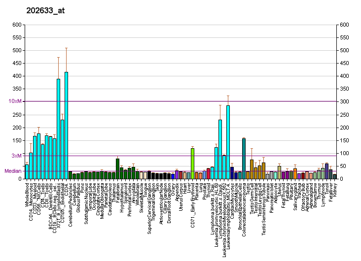 File:PBB GE TOPBP1 202633 at fs.png