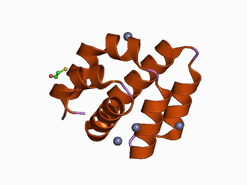 File:PDB 1cy5 EBI.jpg