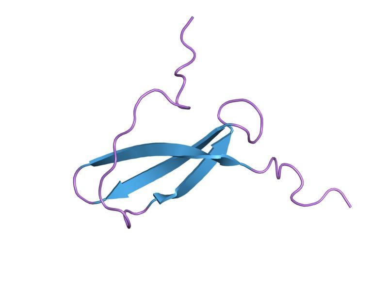 File:PDB 1mkn EBI.jpg