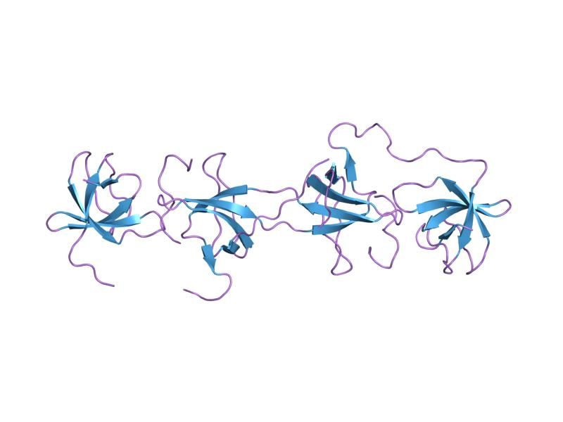 File:PDB 1ov3 EBI.jpg