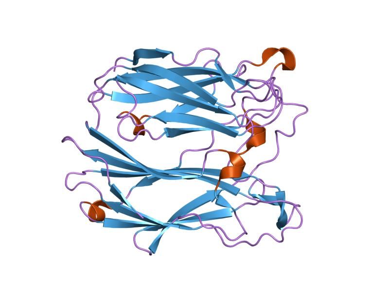 File:PDB 1pgs EBI.jpg