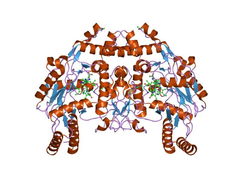 File:PDB 1q2o EBI.jpg