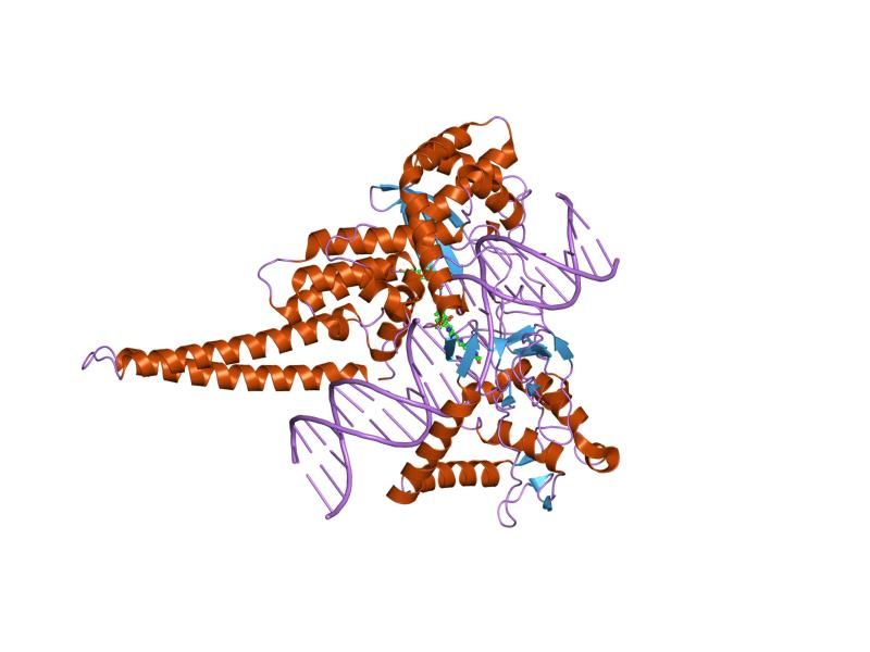 File:PDB 1rrj EBI.jpg