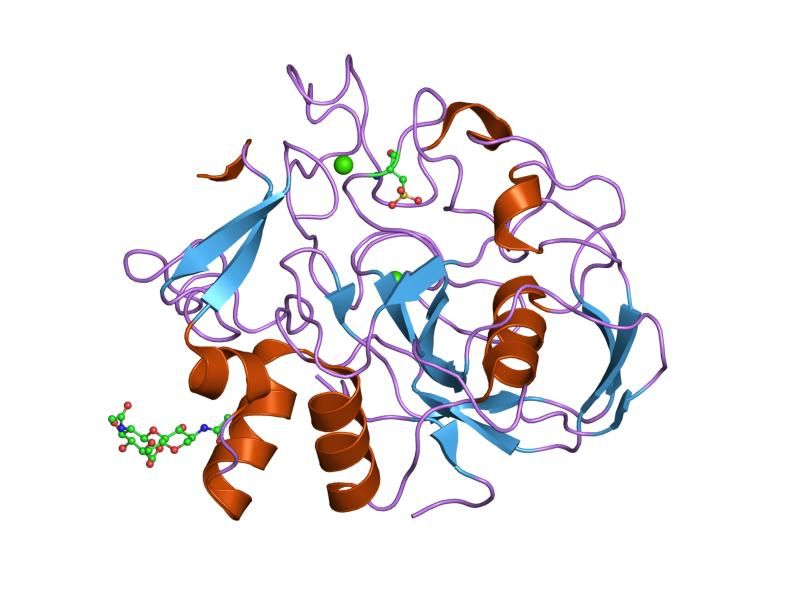 File:PDB 2afy EBI.jpg