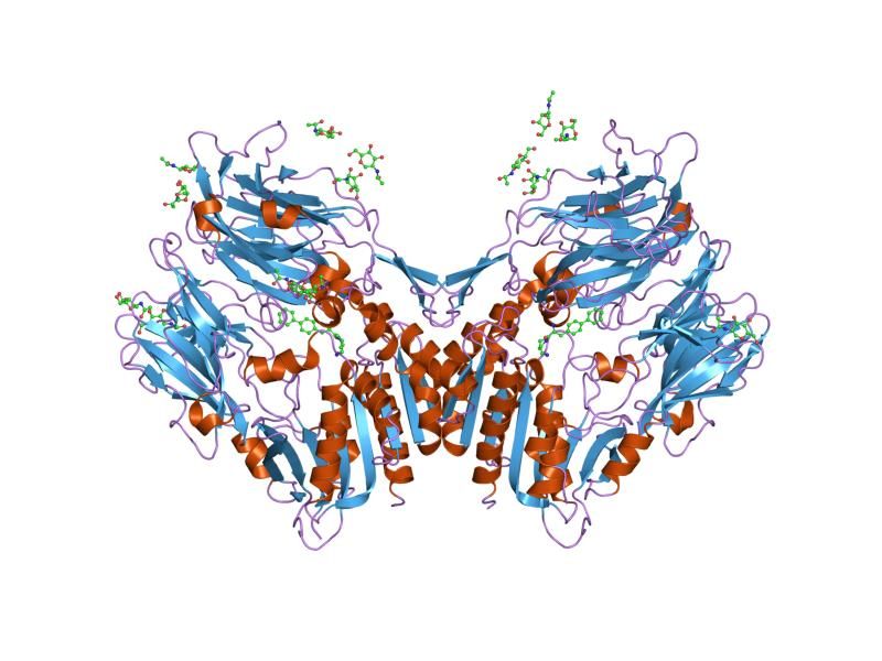 File:PDB 2ajl EBI.jpg