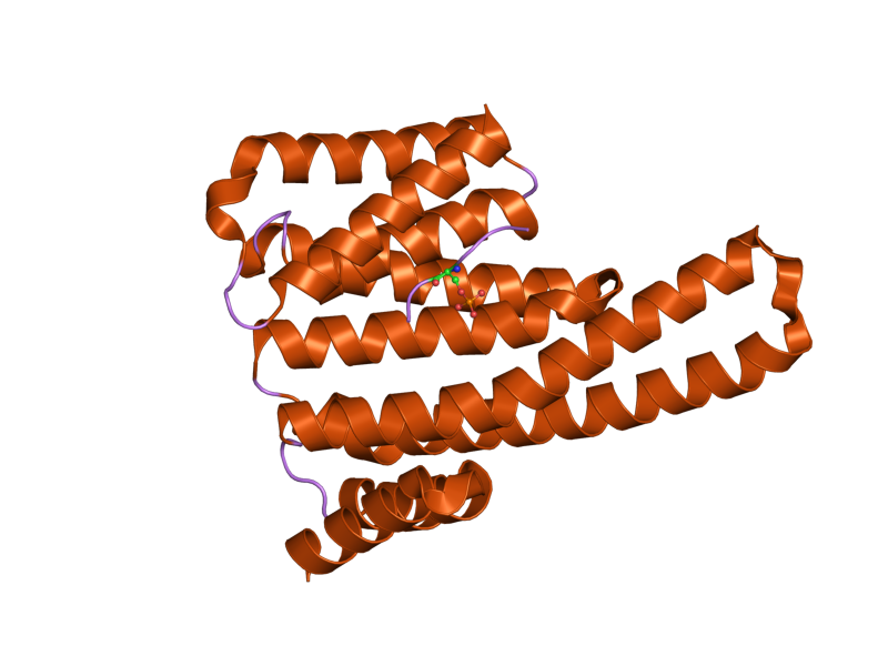 File:PDB 2br9 EBI.png