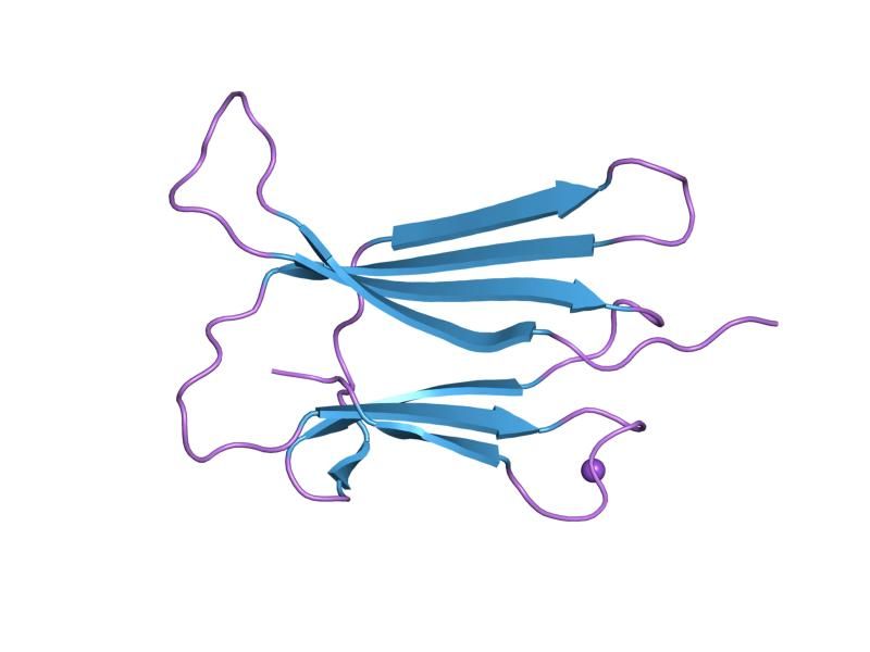 File:PDB 2d4f EBI.jpg