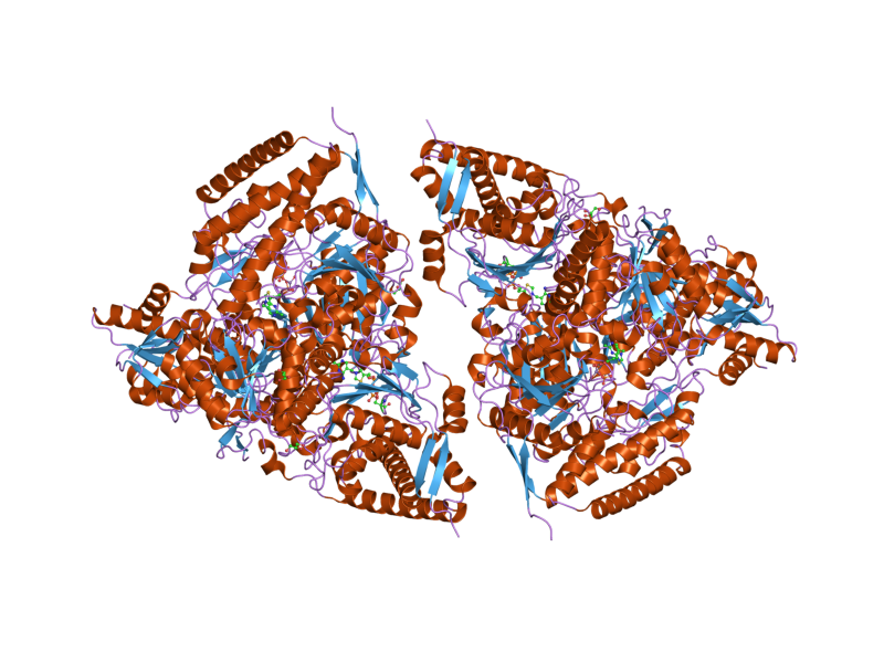 File:PDB 3exh EBI.png