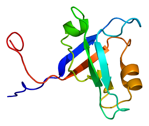 File:Protein DFNB31 PDB 1uez.png