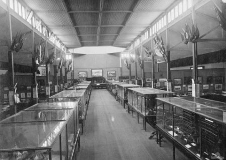 File:Australian War Museum Melbourne 1922.jpg