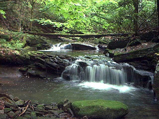 File:Cheat River in Monogahela National Forest.jpg