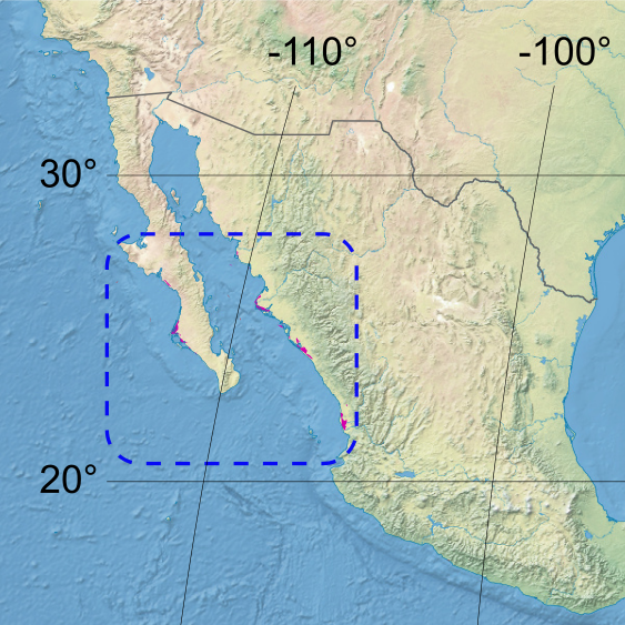 File:Ecoregion NA1401.png