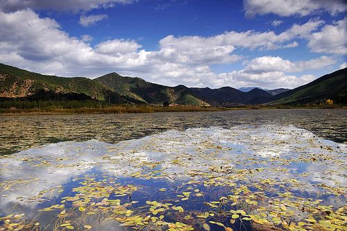 File:Grass Sea at Lugu Lake.jpg