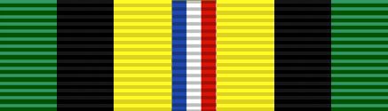 File:Ind OCONUS Medal.JPG