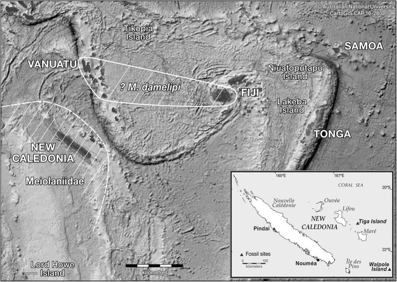 File:Meiolania south pacific range.jpg