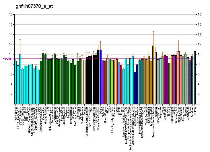 File:PBB GE BRWD3 gnf1h07378 s at fs.png