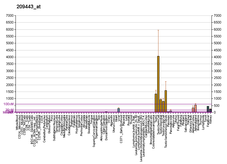 File:PBB GE SERPINA5 209443 at fs.png