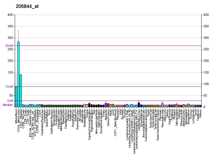 File:PBB GE VNN1 205844 at fs.png