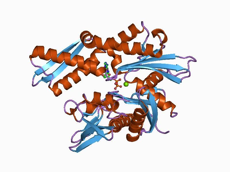 File:PDB 1ats EBI.jpg