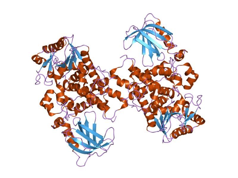 File:PDB 1m7r EBI.jpg