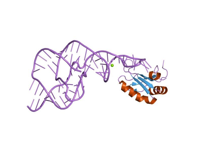 File:PDB 1vc6 EBI.jpg