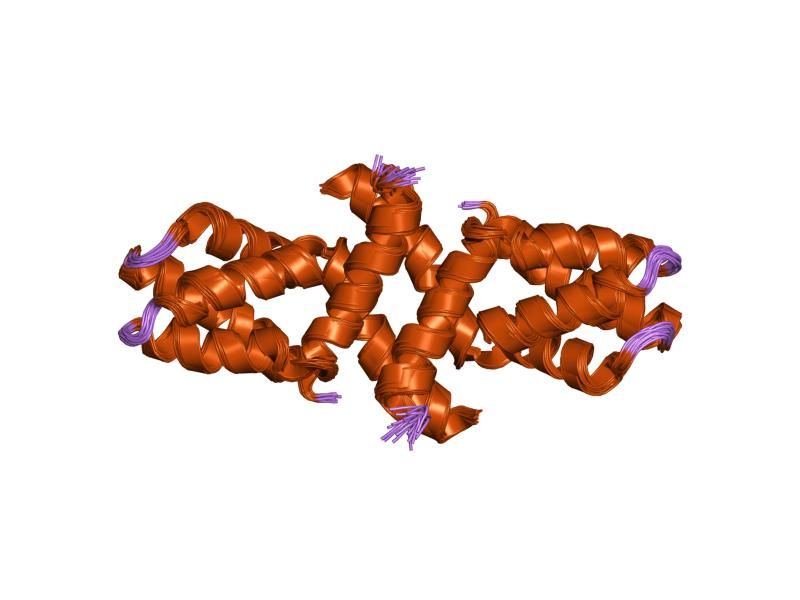 File:PDB 1y74 EBI.jpg