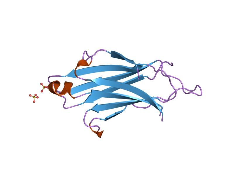 File:PDB 2bwq EBI.jpg