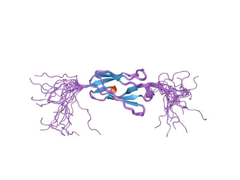 File:PDB 2d7o EBI.jpg