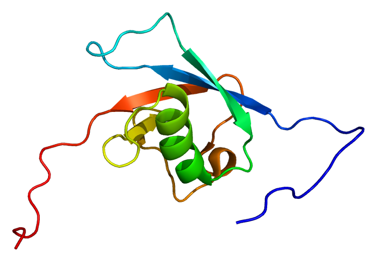 File:Protein NUB1 PDB 1wju.png