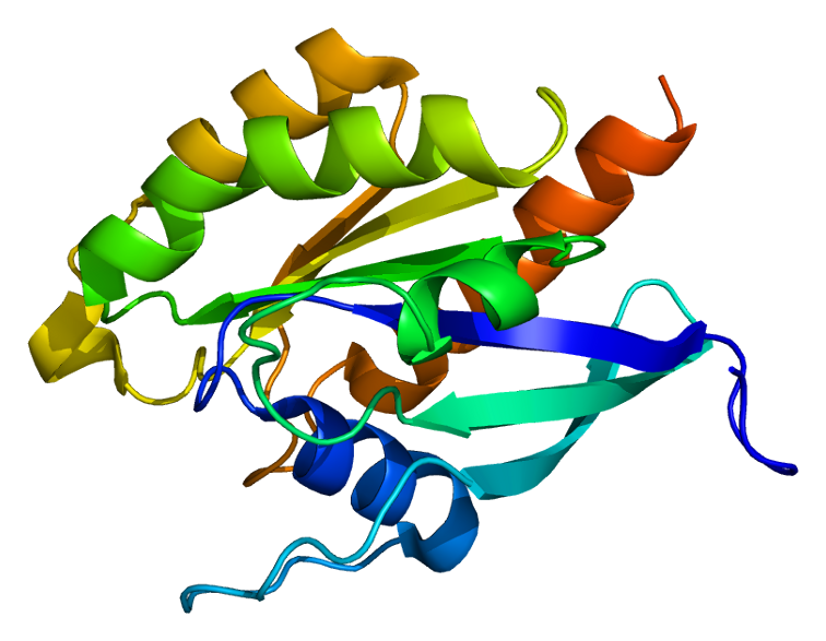 File:Protein RAB3D PDB 2gf9.png