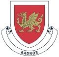 Radnor house badge