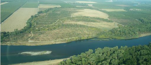 File:Sacramento River National Wildlife Refuge.jpg