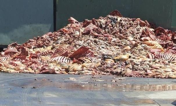 File:Solid Wastes from Slaughterhouse.jpg