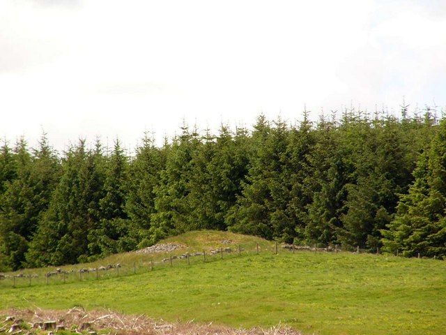 File:White Cairn - geograph.org.uk - 447250.jpg