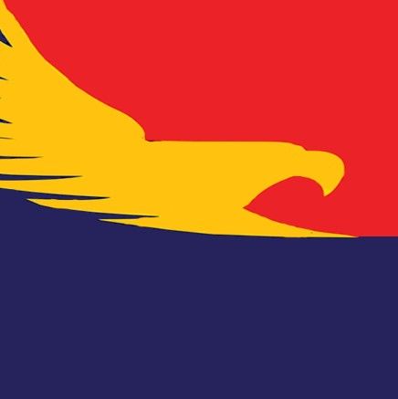 File:Yarraville Seddon Football Club colours.jpg