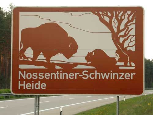 File:A19-Nossentiner-Schwinzer Heide.jpg