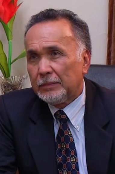 File:Menggie Cobarrubias (2017) (cropped).jpg