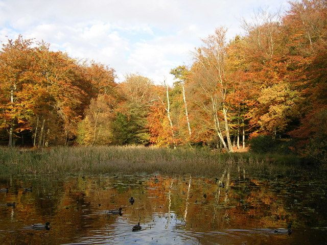 File:Middle Pond - geograph.org.uk - 600952.jpg